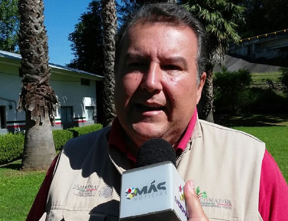 Invitan a familias a participar en la campaña de reforestación; se plantarán 80 mil árboles