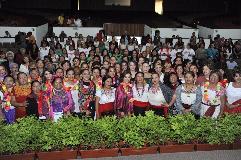 Mujeres indígenas participarán en la elección 2018: Hilda Flores