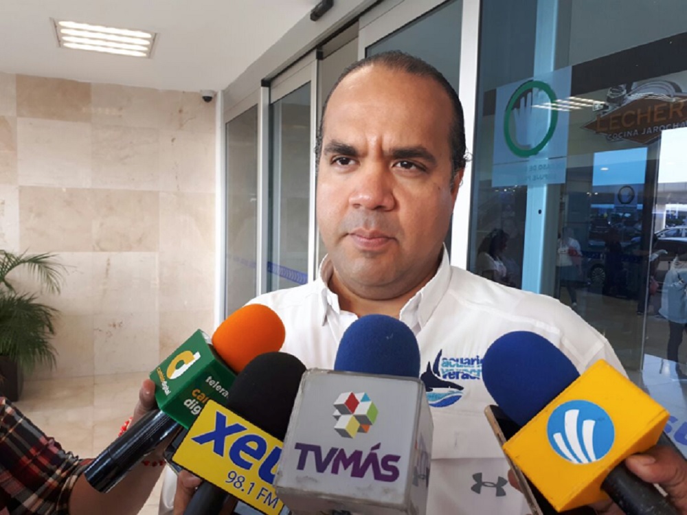 Exhibirá Acuario de Veracruz a pez sierra en peligro de extinción