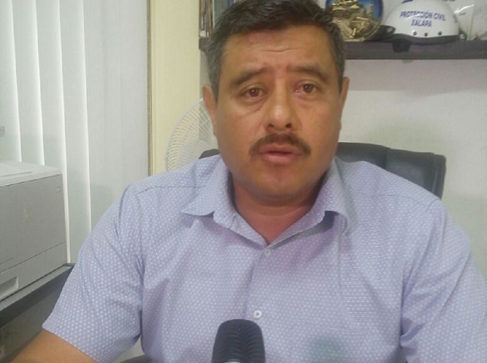 Tormenta tropical Franklin ocasiona árboles caídos en Xalapa