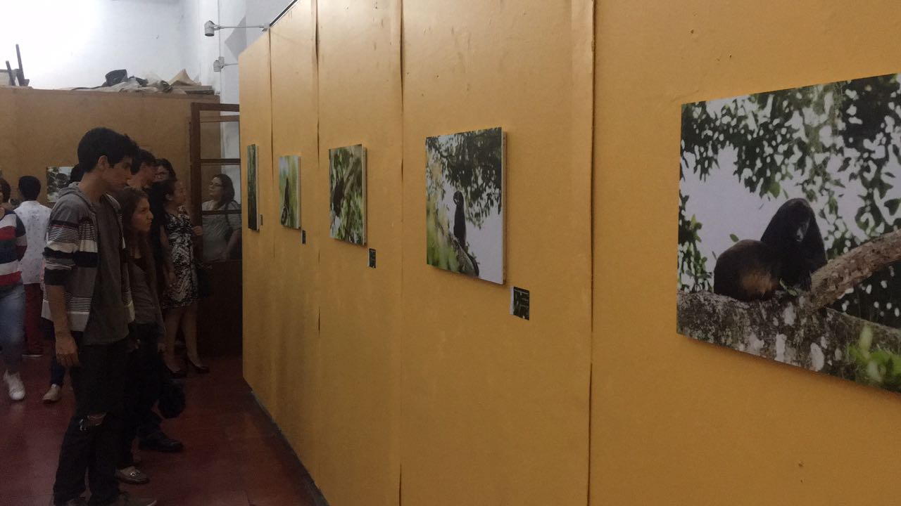 Inauguran exposición fotográfica “El sonido de los saraguatos” en Córdoba