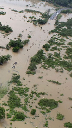 Continúa censo de afectaciones al campo en Tempoal