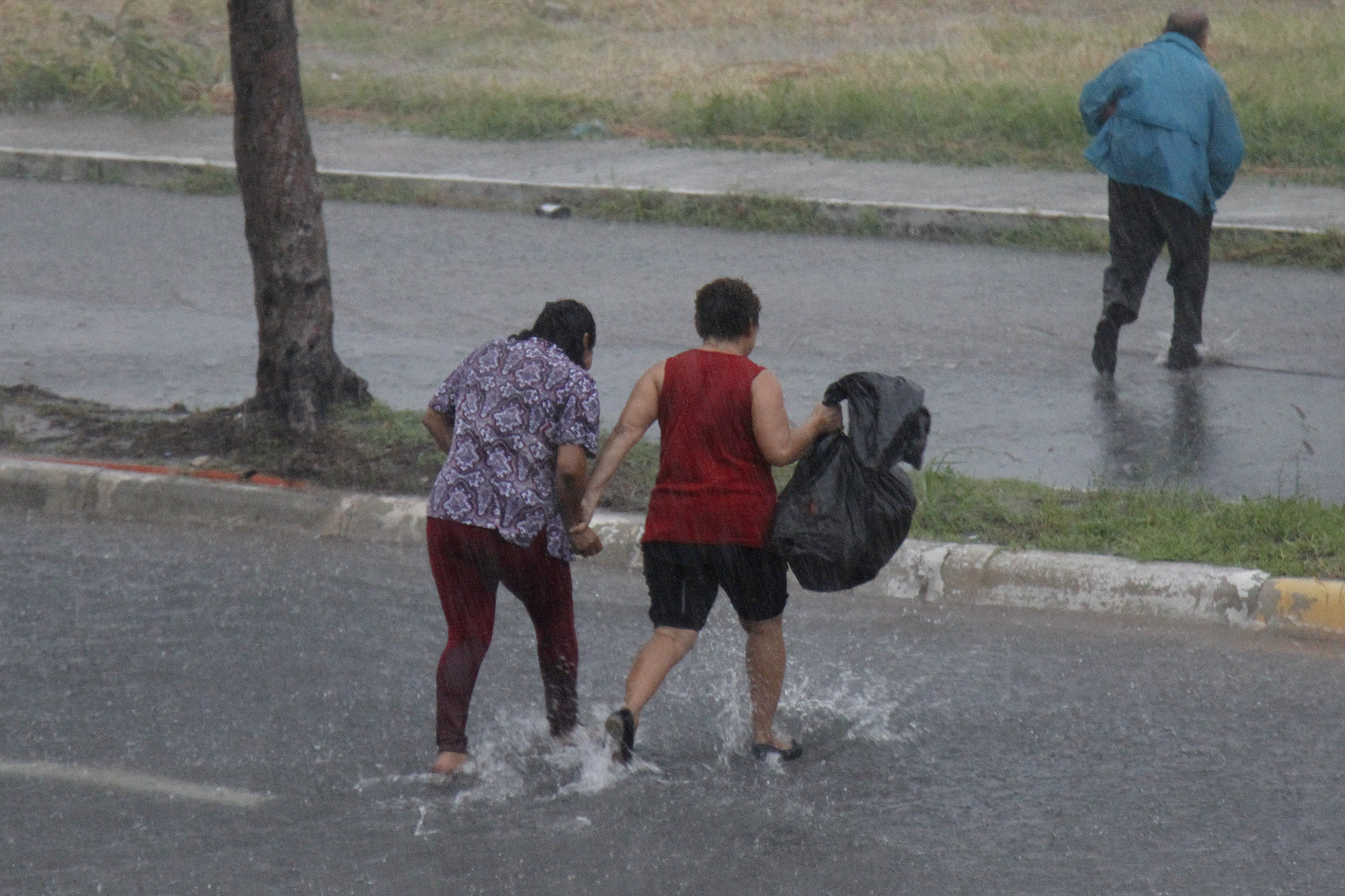 La Secretaría de Protección Civil de Veracruz emitió Alerta Gris por lluvias fuertes y norte