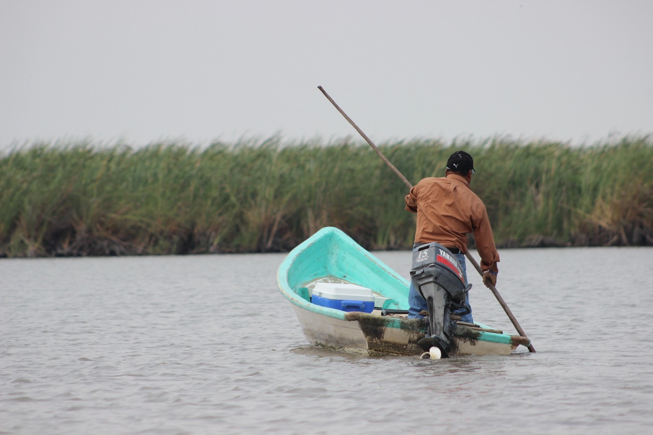 Pescadores de Pánuco esperan obtener apoyos de la Sedarpa