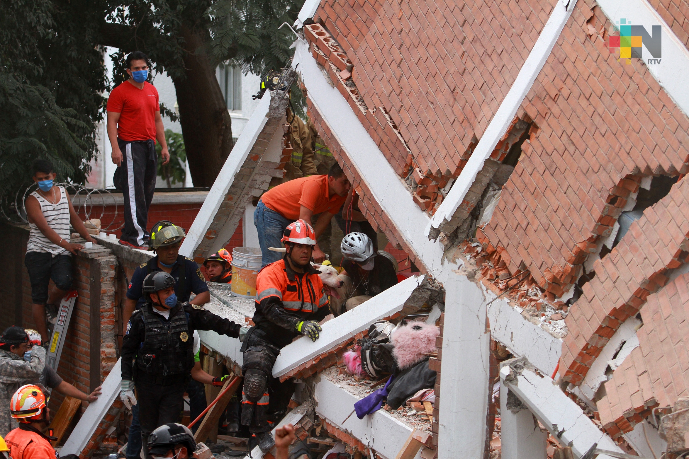 Dona Ford medio millón de dólares para la reconstrucción de México