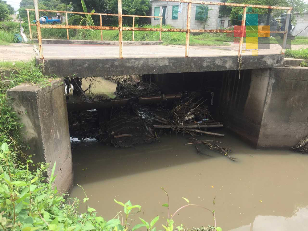 El arroyo Cojinillo, una historia que contar
