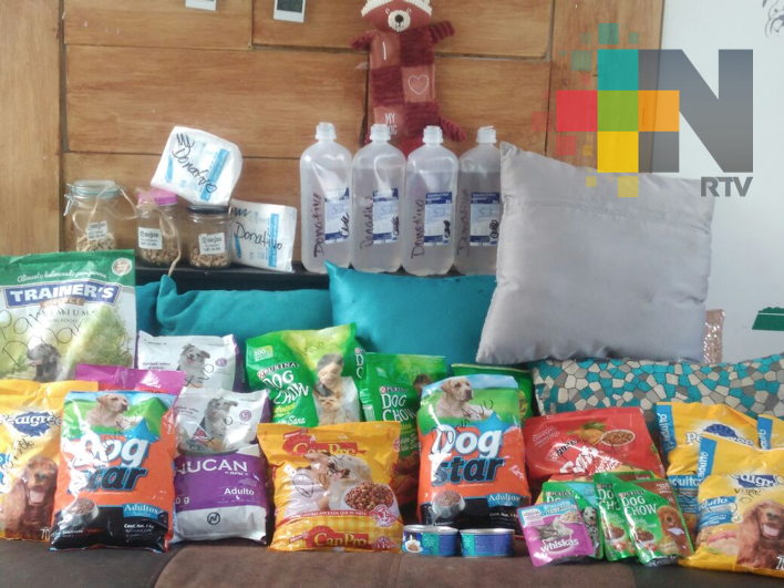 Instalan en Boca del Río centro de acopio para mascotas afectadas por sismo