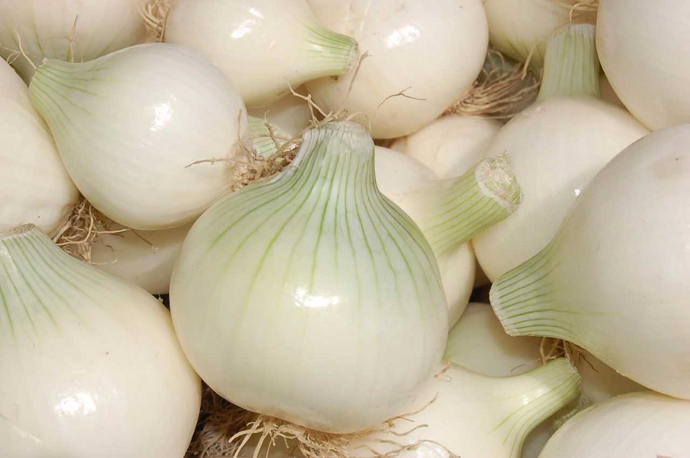 Cebolla, producto con mayor descenso en su precio en mercados del país