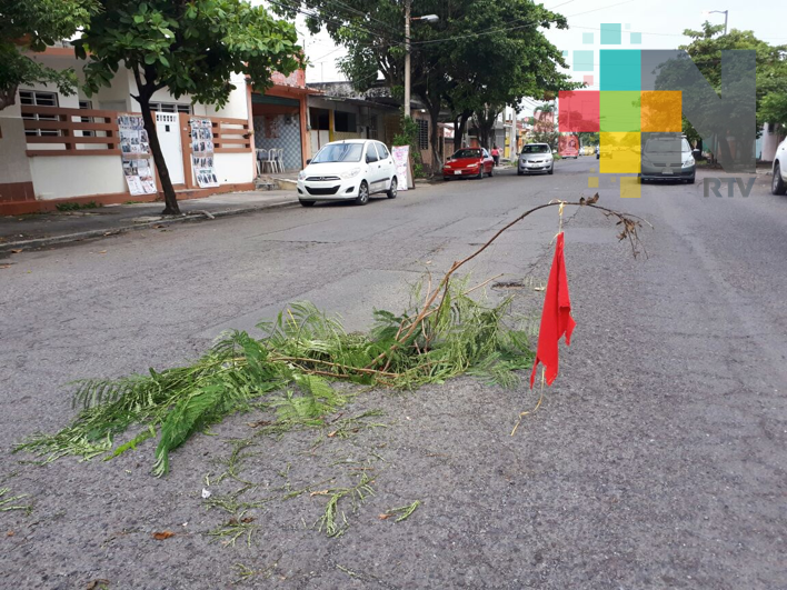Hundimiento en centro de Veracruz ponen, peligro para transeúntes y automovilistas