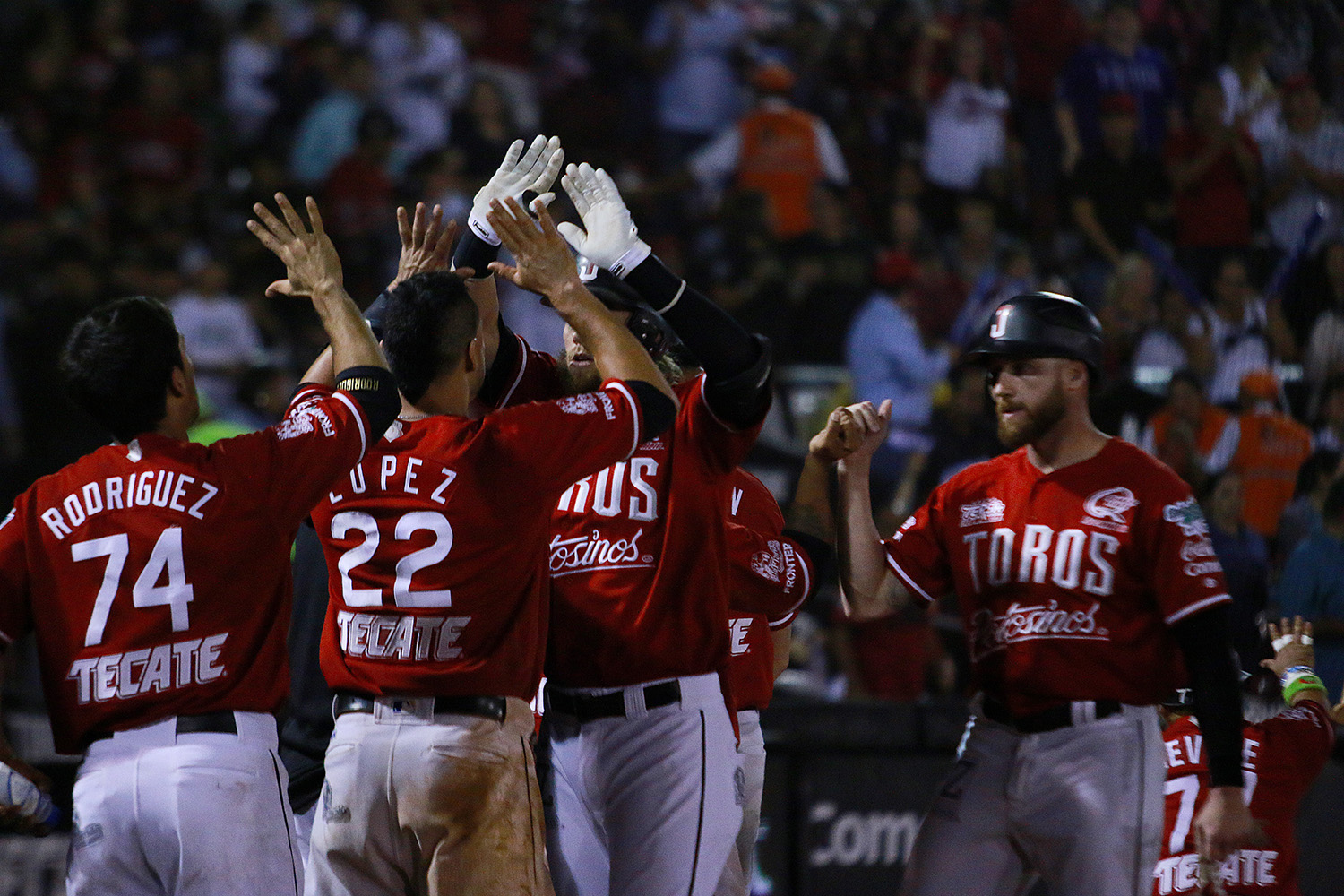 Toros de Tijuana a medio camino