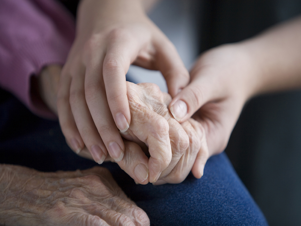 Universitario desarrolla tratamiento preventivo del Parkinson con planta