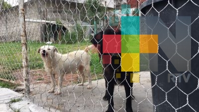 Invitan a participar en el Reci-can el último domingo de cada mes