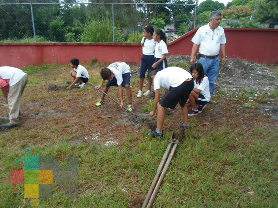 Autoridades municipales inician donación de plantas y árboles para reforestar Tierra Blanca