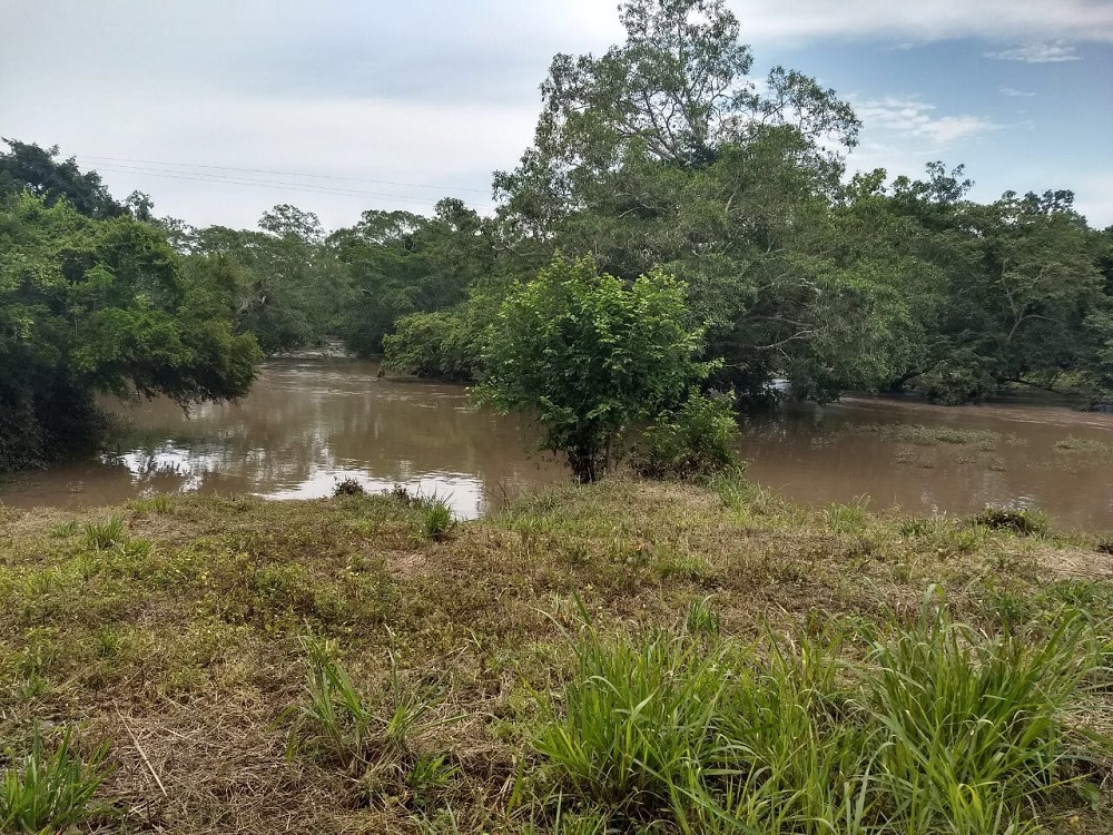 En su máxima capacidad río Amapa de Tierra Blanca