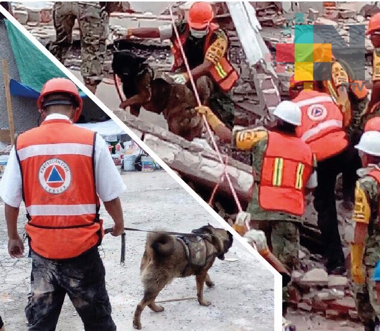 Brigadistas veracruzanos se integran a labores de rescate en CDMX