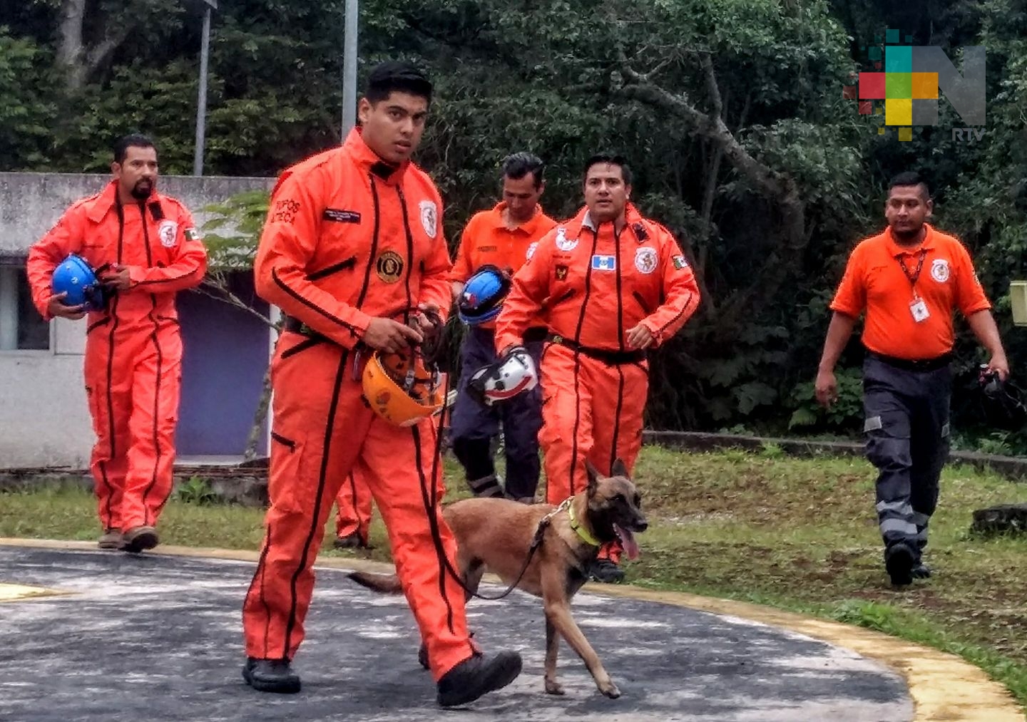 Centro de Salud Animal de Xalapa se llamará Shira, en honor a perra rescatista