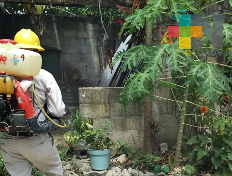 Jurisdicción Sanitaria mantiene el trabajo de vectores en el municipio de Chalma