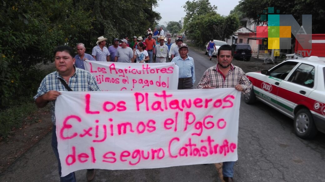 Productores de plátano se manifiestan en San Rafael, exigen pago del seguro