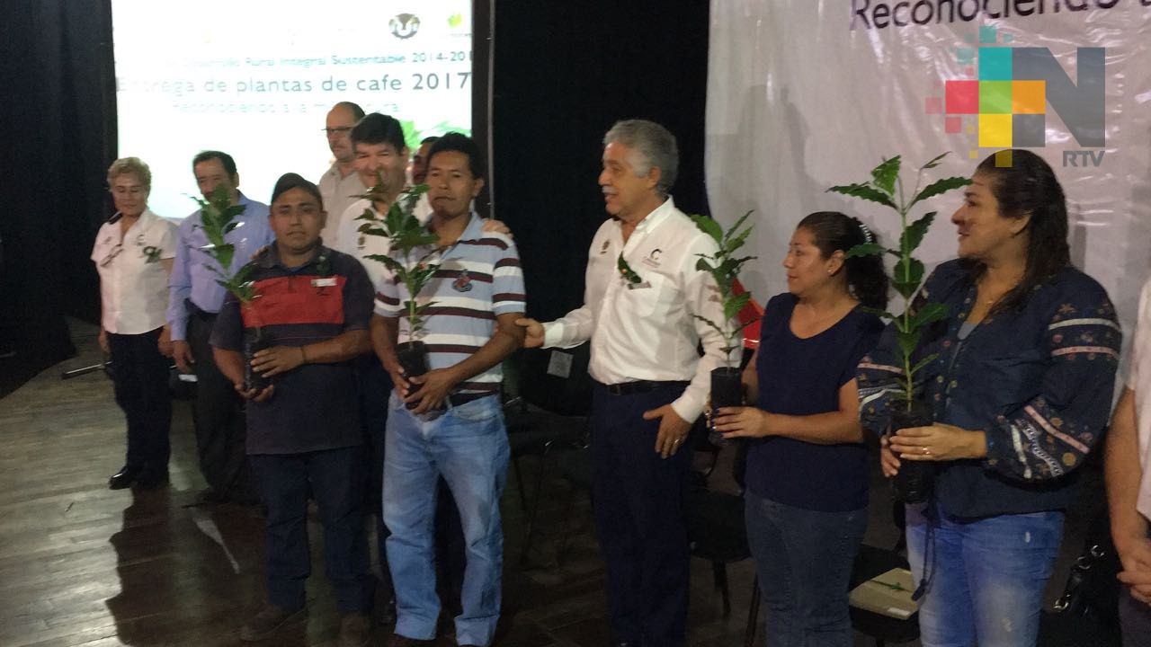 Ayuntamiento de Córdoba entrega más de 400 mil plantas de café