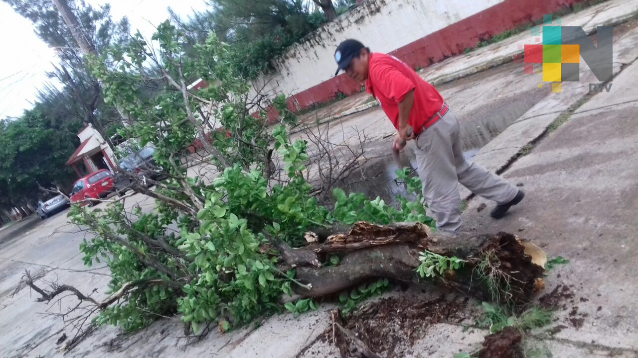 Fuertes vientos dejan severas afectaciones en Coatzacoalcos