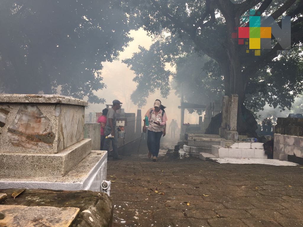 Protección Civil y bomberos de Coatzacoalcos retiran enjambres de panteones