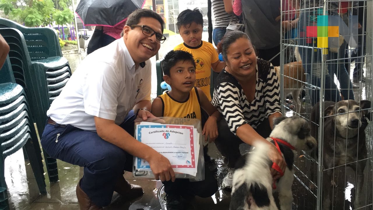 Un éxito campaña de adopción canina en Córdoba