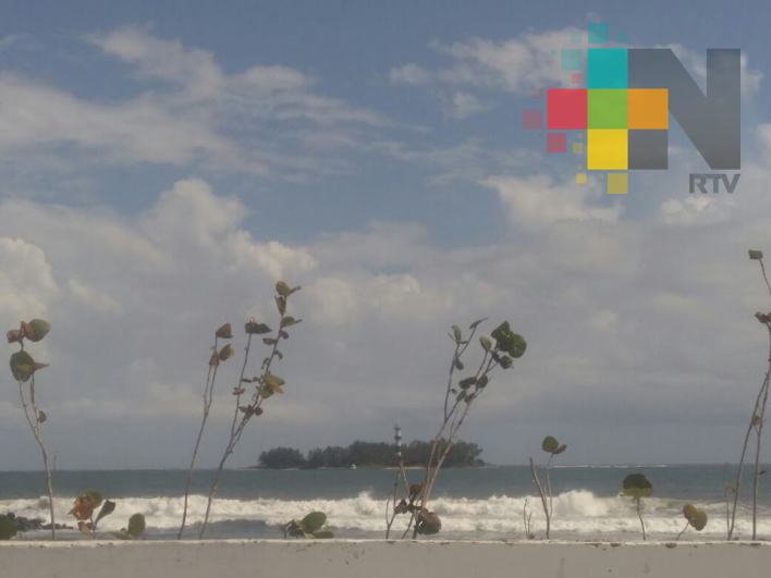 Ambiente diurno caluroso en el estado de Veracruz; viento del sur y sureste alcanzaría rachas fuertes
