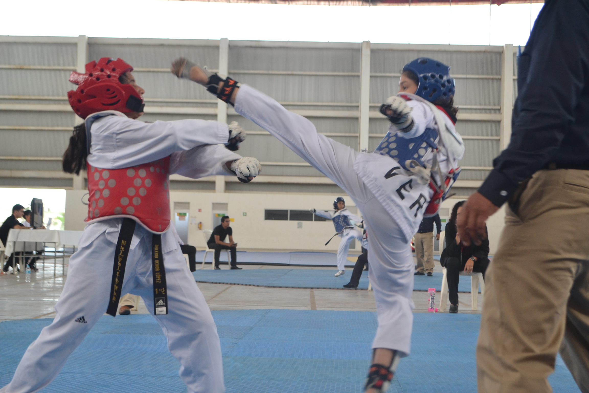 Listo Selectivo Estatal de Taekwondo en Arena Veracruz