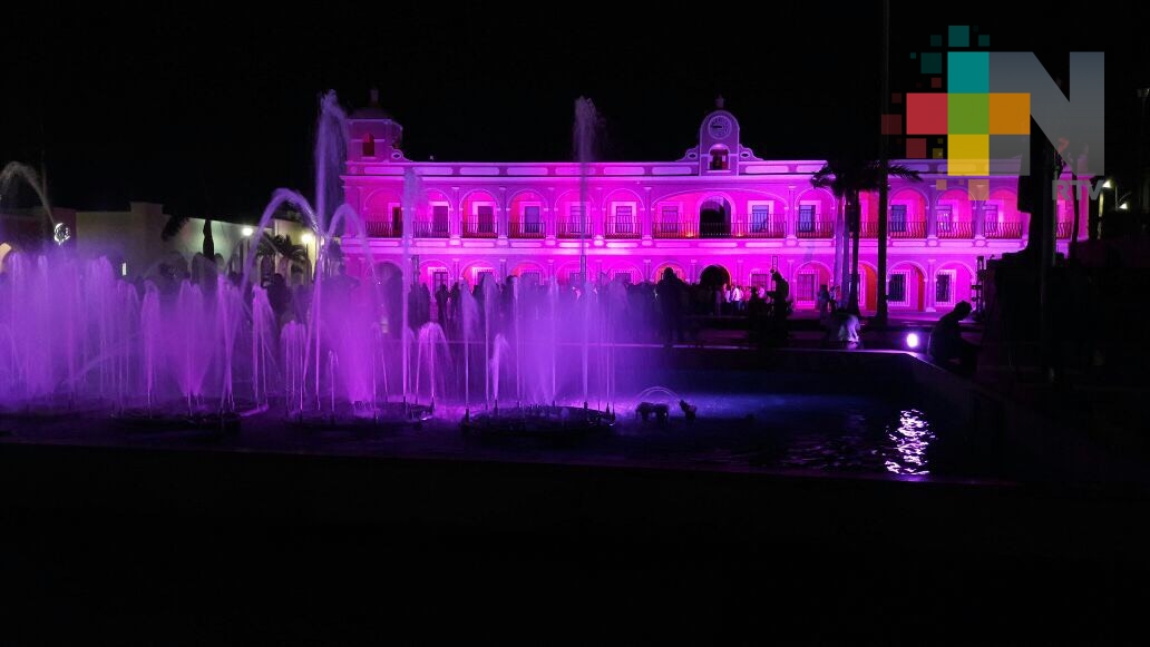 Iluminan de rosa el palacio municipal de Boca del Río