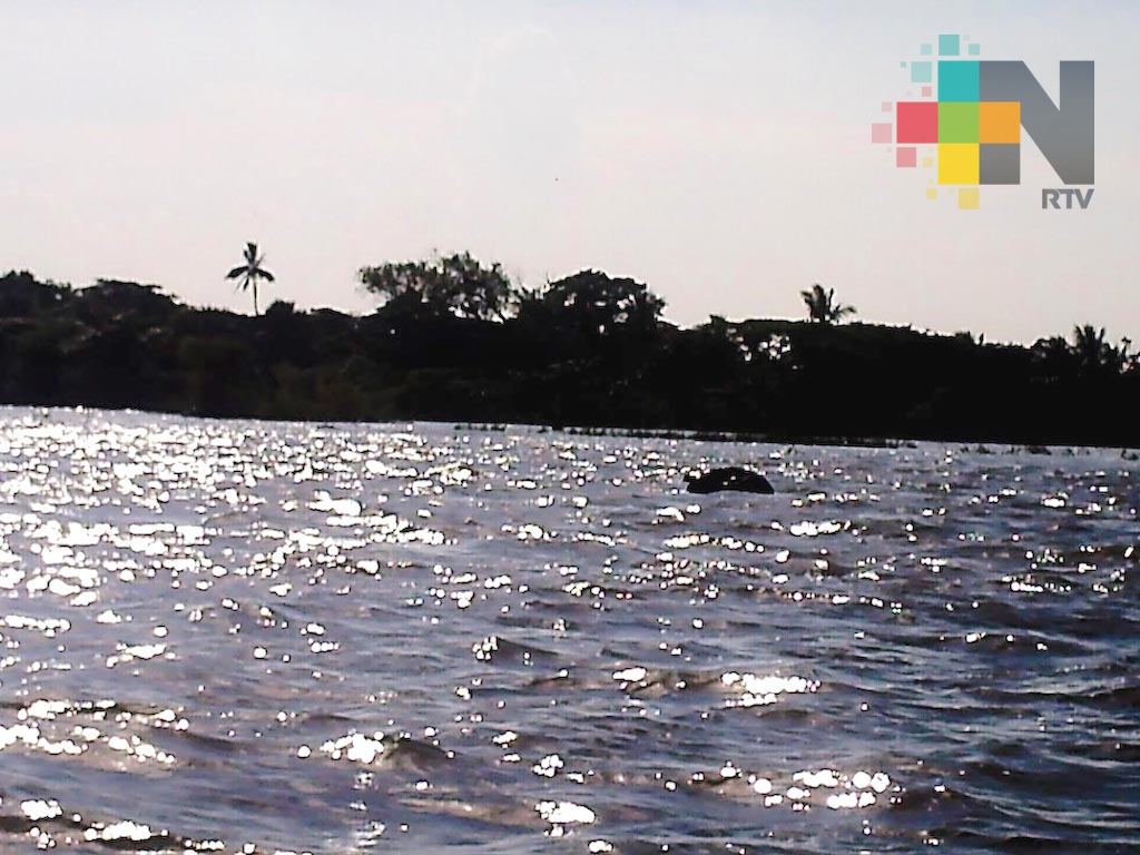 Río Papaloapan a punto de desbordarse; hay más de 70 casas afectadas y localidades incomunicadas