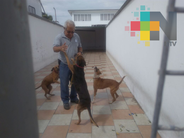 Piden incluir a mascotas en el plan familiar de emergencia por desastres naturales