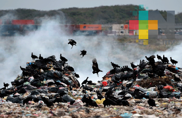 Clausurarán basurero de Veracruz antes de finalizar el año