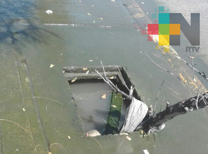 Reportan fuga de aguas negras en banqueta del parque Reino Mágico