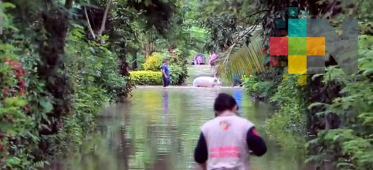Lluvias afectan municipios de la cuenca del Papaloapan