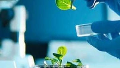 Mexicanos ganan plata y bronce en Olimpiada Iberoamericana de Biología