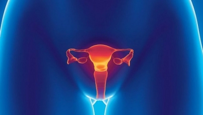 Sonorenses diseñan sistema para diagnóstico de tumores en ovarios
