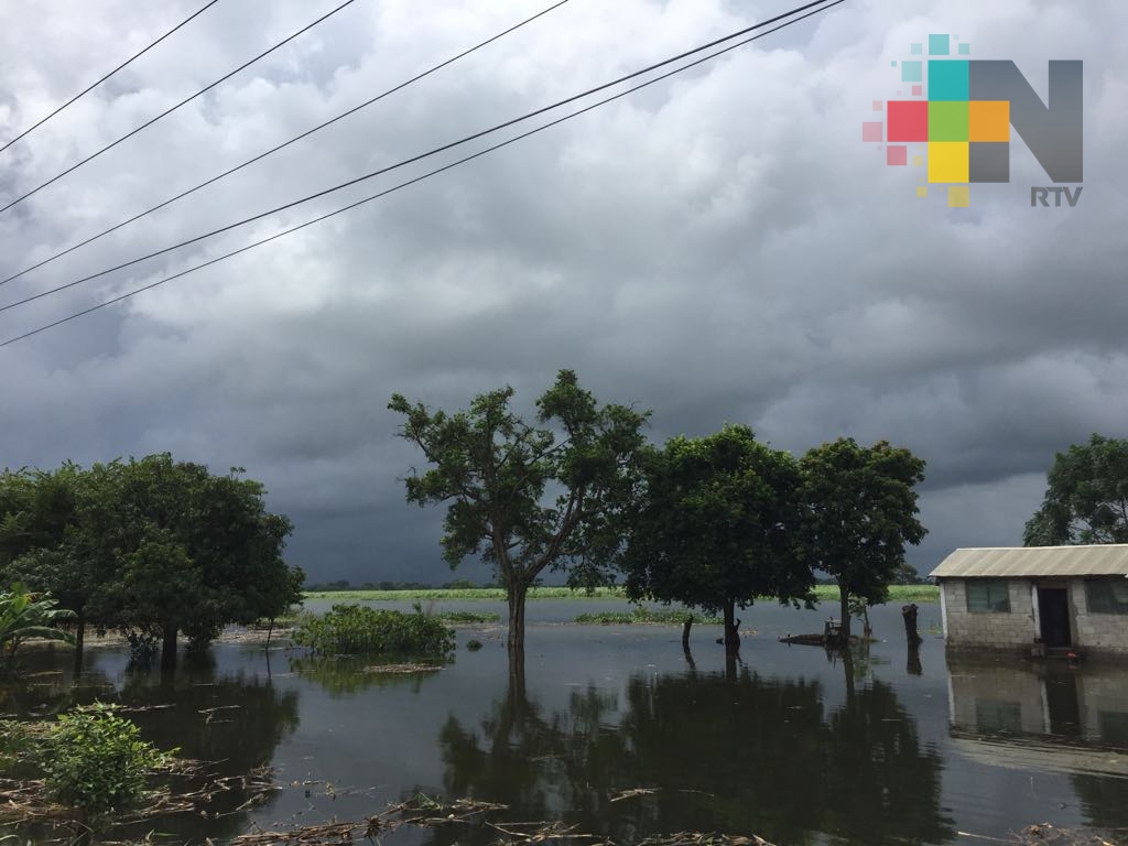 Dos comunidades inundadas por desborde del río Papaloapan; alerta en crecida y arroyos