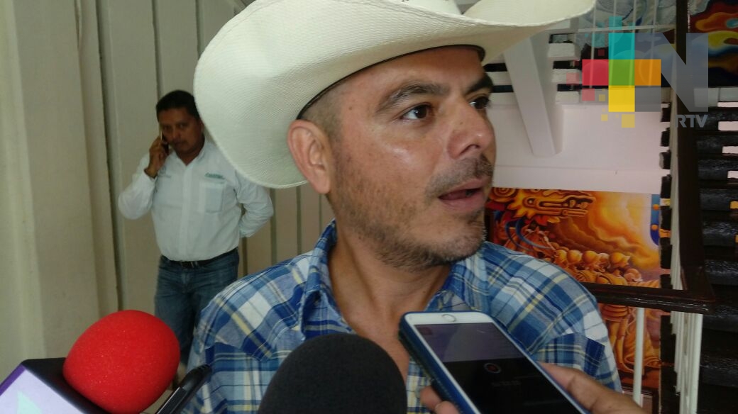 Roban y destazan ganado en Coatzacoalcos; aumentan vigilancia