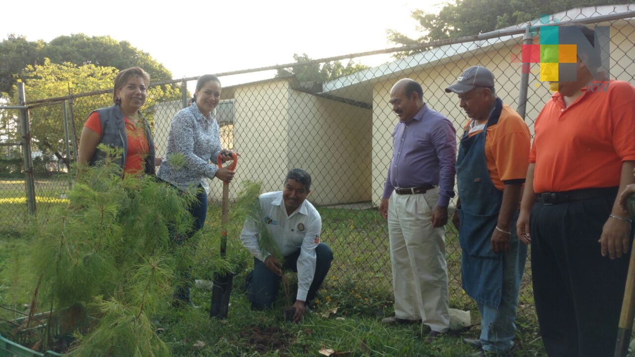 Club Rotario impulsa la reforestación en Martínez de la Torre