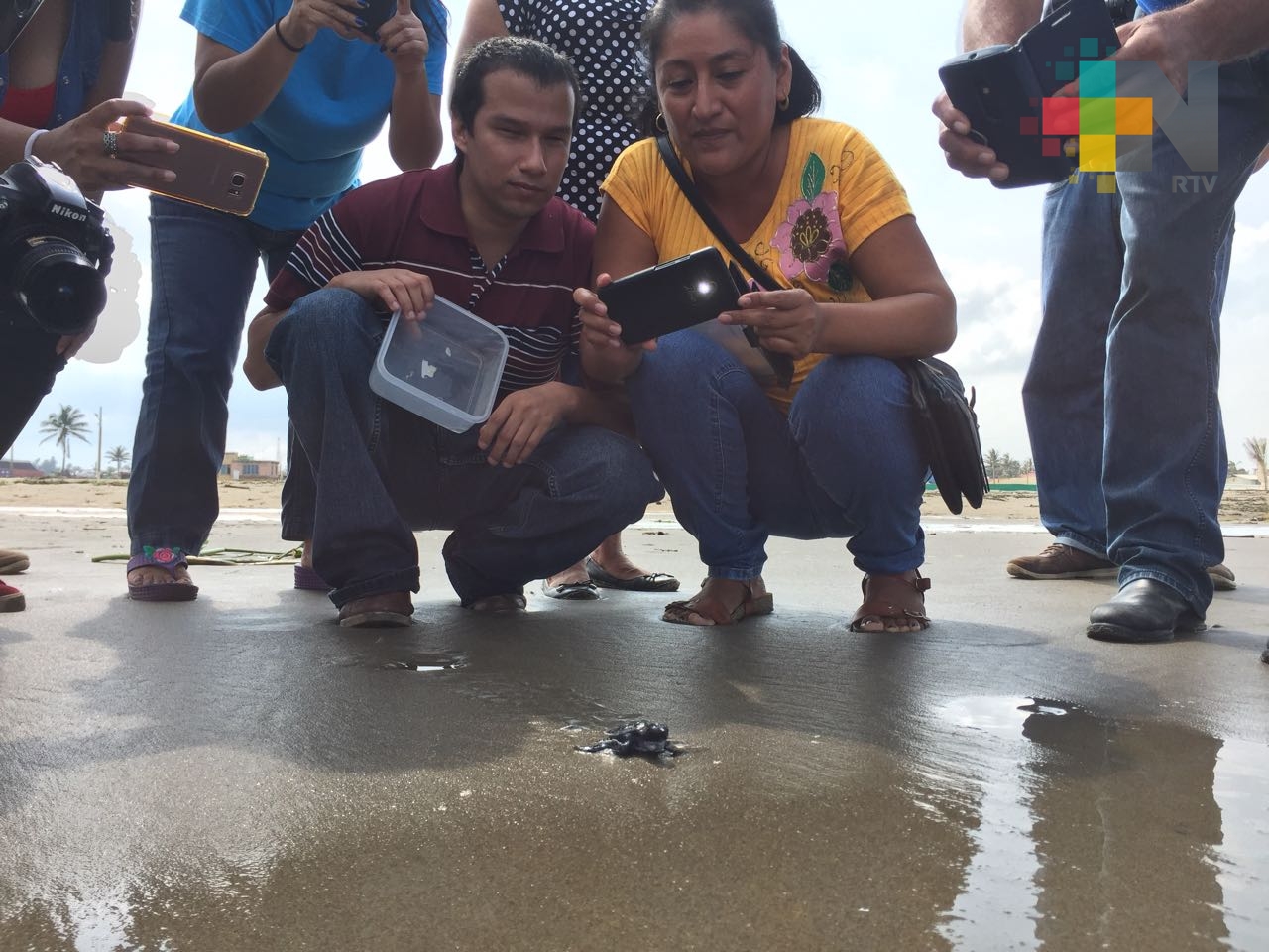 El “Guardián de las Tortugas” liberó un ejemplar marino en las playas de Coatzacoalcos