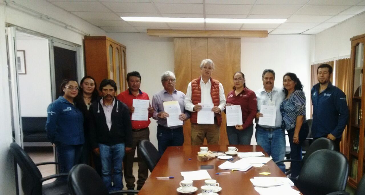 Intensifica gobierno federal la siembra de Cedro y Pino en Veracruz