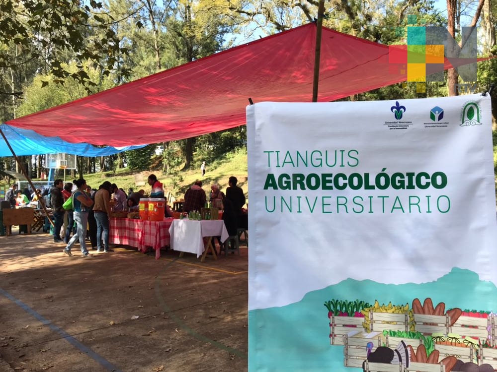 Mercado itinerante, economía alternativa o tradicional