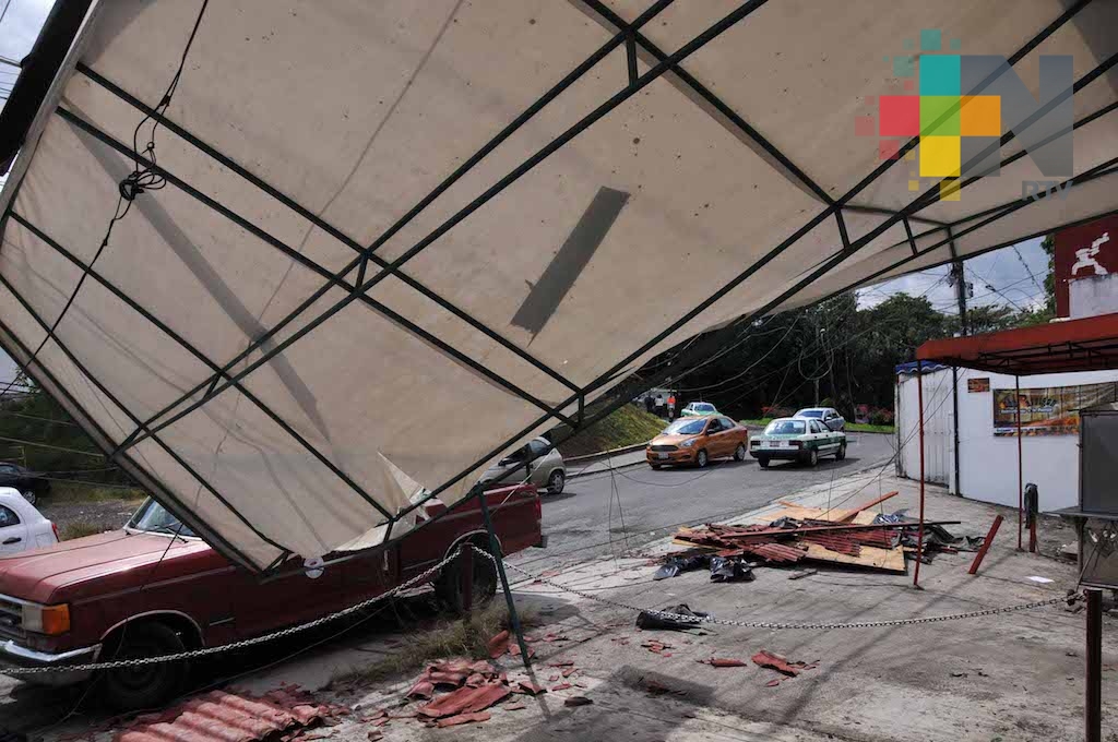 Incendios forestales y árboles caídos provocó el norte en Xalapa y Emiliano Zapata