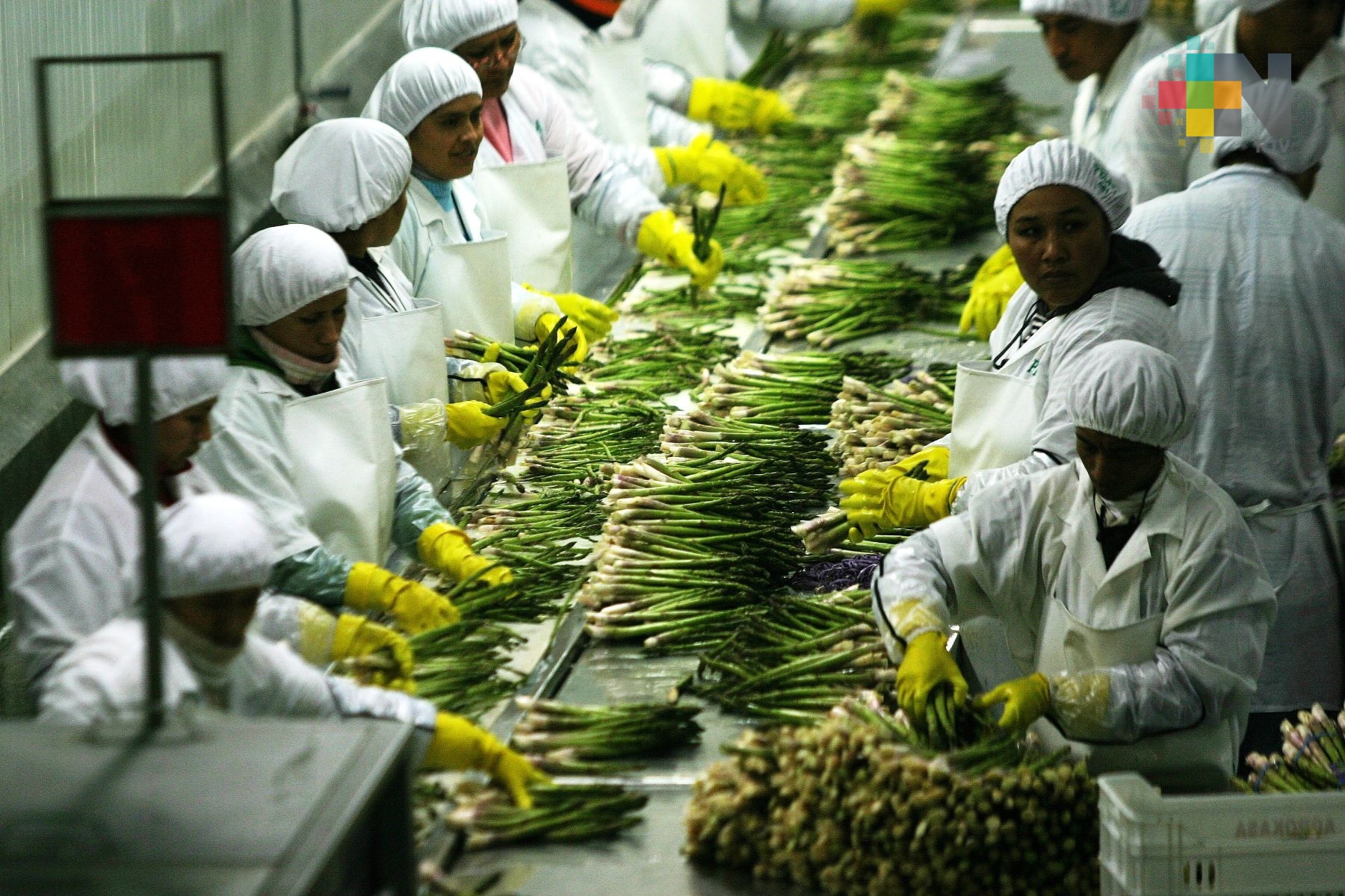 Agroindustria representa el futuro de la promoción económica del campo veracruzano