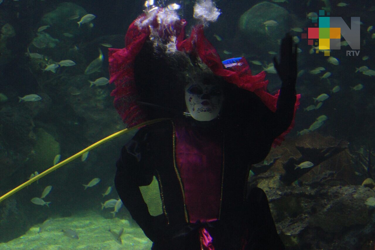 Catrina se sumerge en pecera del Acuario de Veracruz