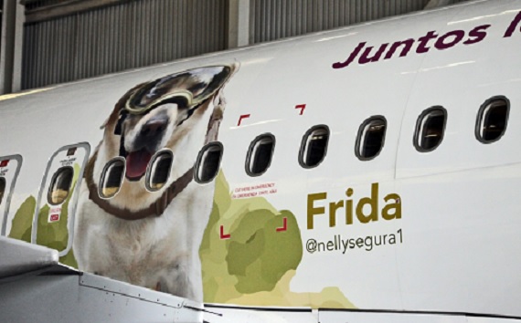 Aerolínea realiza homenaje en grande a perrita rescatista Frida