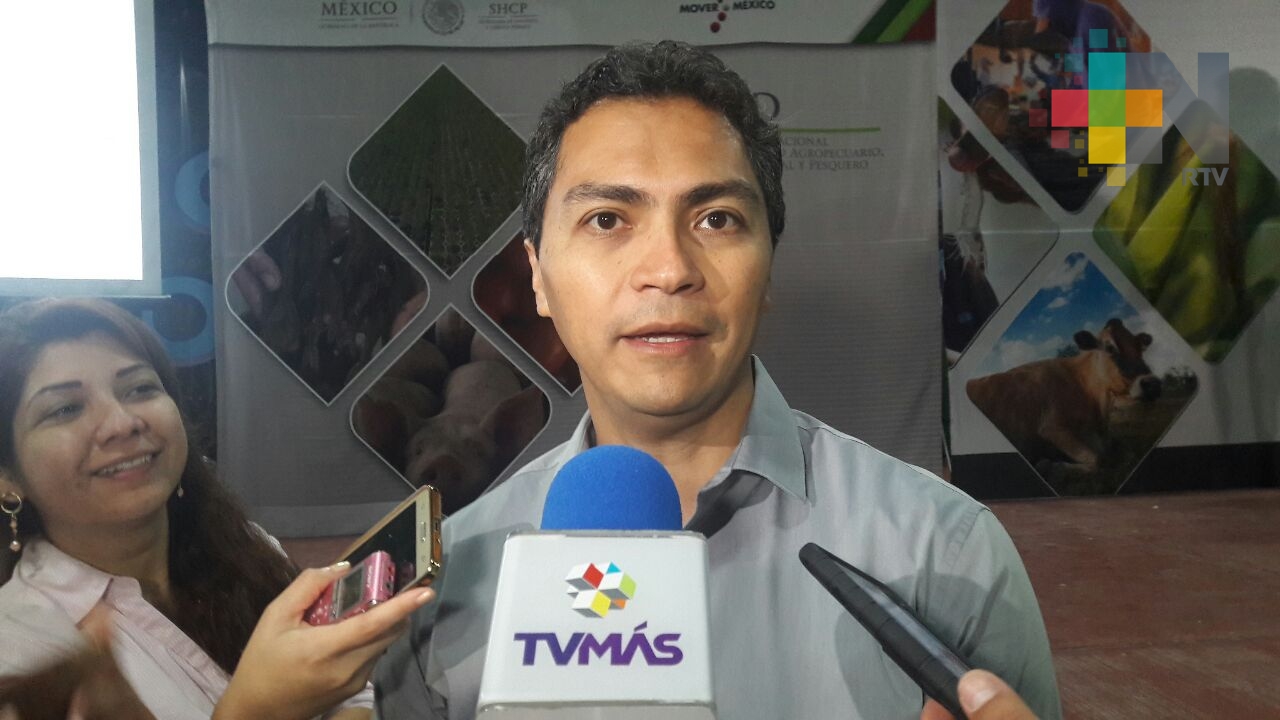 Simplificación de trámites ha permitido ejercer 80% del presupuesto este año: Financiera Nacional de Desarrollo