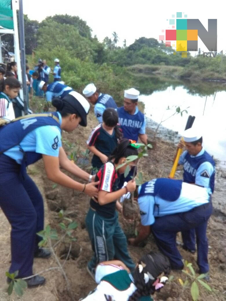 Reforesta Semar La Calzada, en  Tuxpan