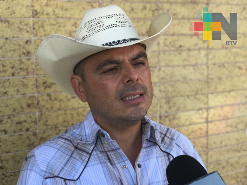 Asociación Ganadera de Coatzacoalcos no tiene reporte de venta de carne de caballo por res