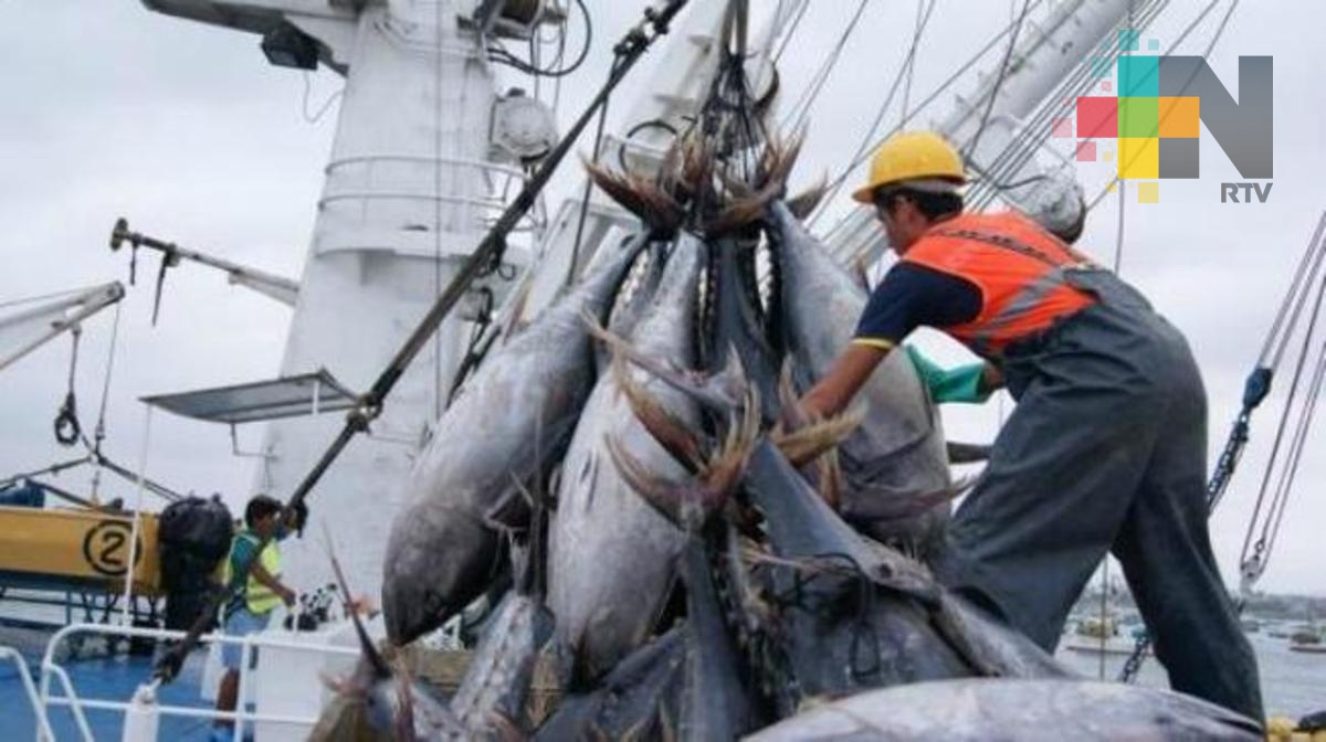 Atuneros apostarán al mercado europeo en 2018